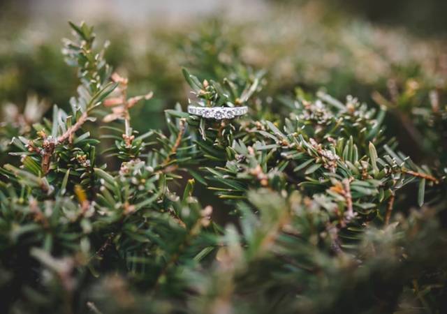 求婚时说的话有哪些?特一分享朴实感人的求婚