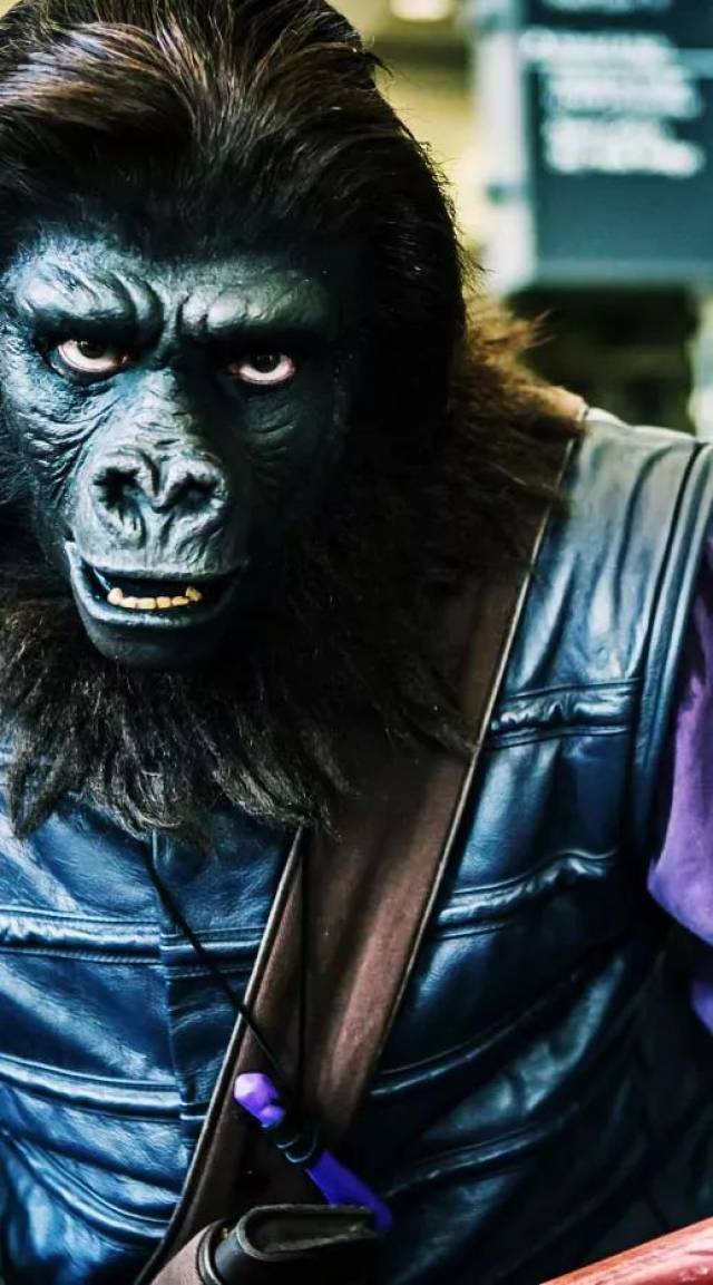 一场派对动物的大迁徙,为期7天的国庆派对嘉年华