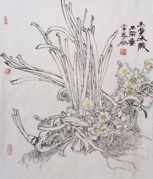 100幅历代名家画水仙,学的好素材~(转发收藏了)