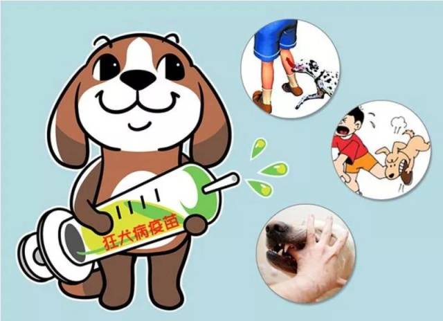 6岁男童被狗咬注射3针狂犬疫苗后仍去世!这些知识赶紧学起来!
