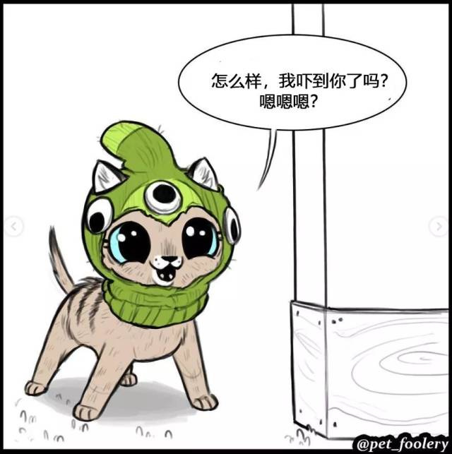 小奶猫vs大狼狗,这cp真好嗑