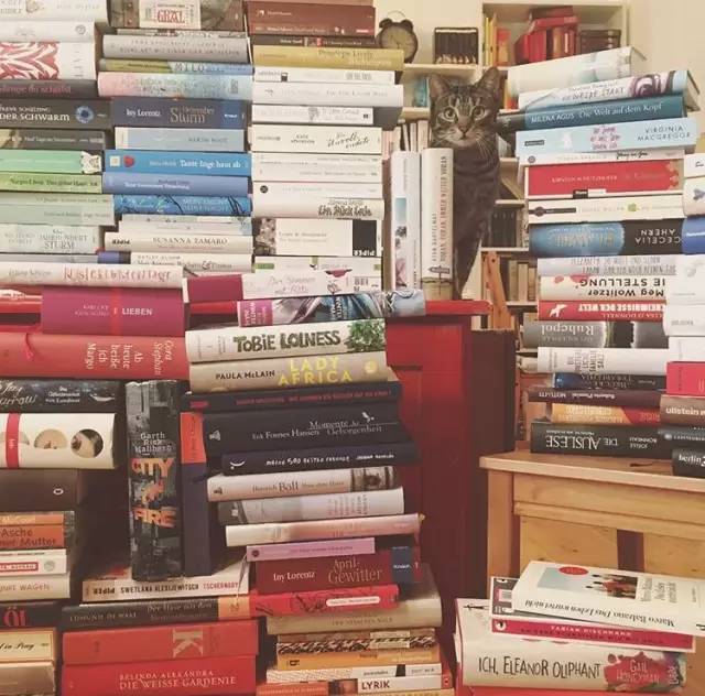 诺奖热门作家玛格丽特阿特伍德短篇小说集 | 好