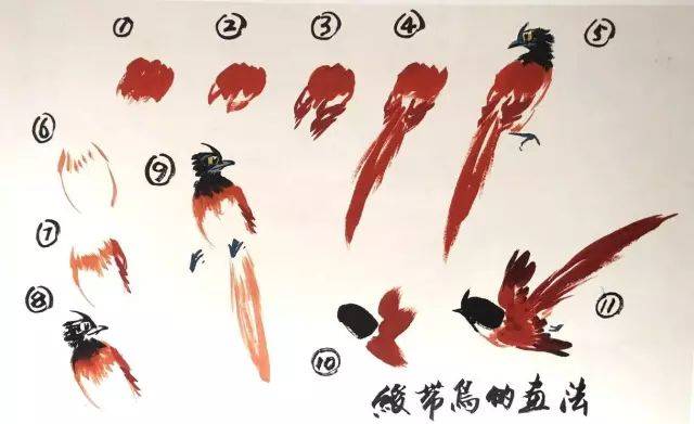 跟徐湛老师学写意花鸟画(16-17集)