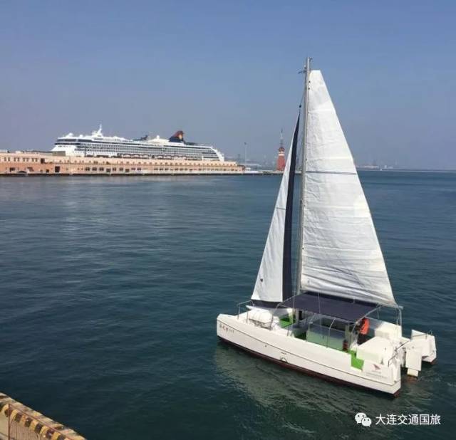 所以我今天要为大家介绍一个新的海上游玩项目,帆船出海喂海鸥