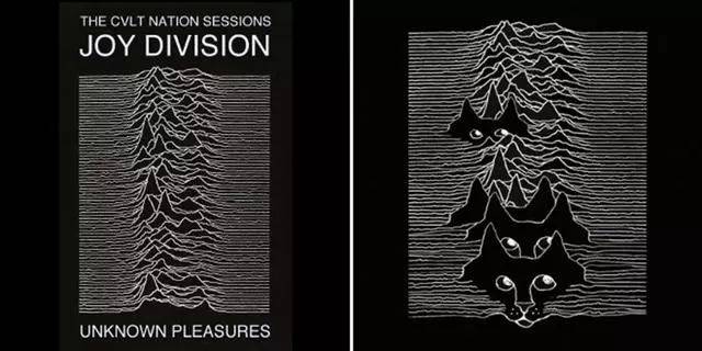 joy division  unknown pleasures>