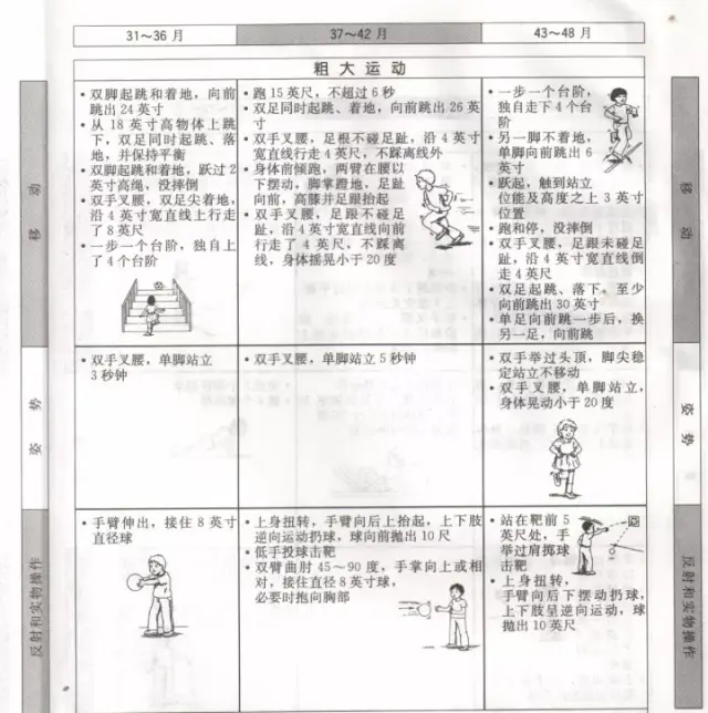 ——31~48个月粗大运动和精细运动——