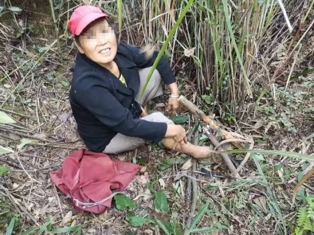 富阳大妈深山踩中捕猎夹子后,一句话逗乐施救人员.