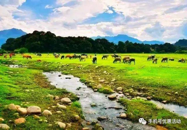 罗坑大草原位罗坑大草原位于韶关市曲江区罗坑镇,为高山草原,穿插在