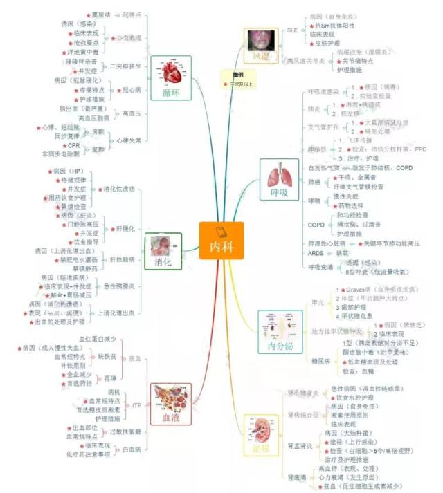 干货| 思维导图在护理工作中的应用