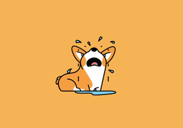 超可爱的柯基小动图,马上收藏做表情包啦