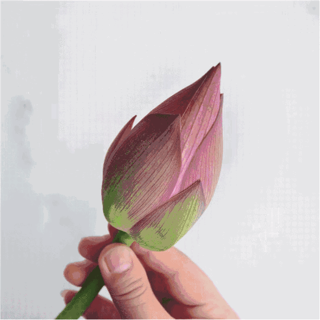 这种折叠法比较适合圆胖型的花苞.
