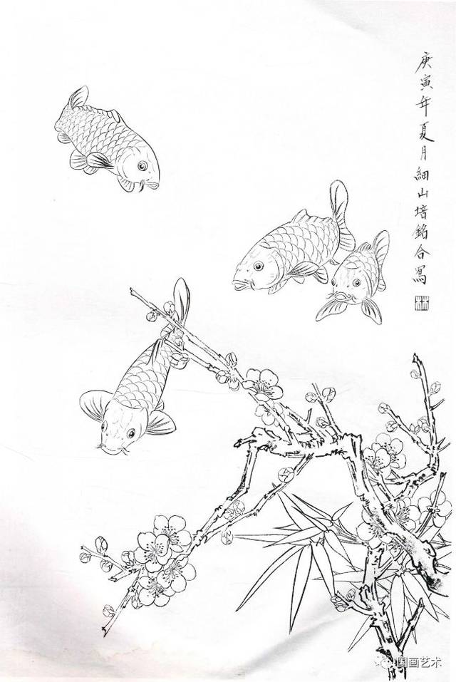 图文教程工笔锦鲤画法与白描画稿