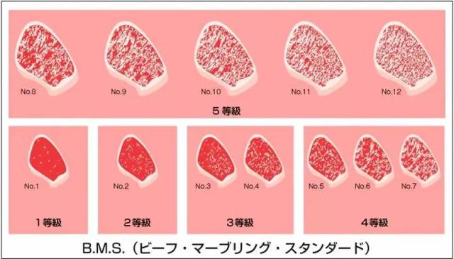 和牛等级