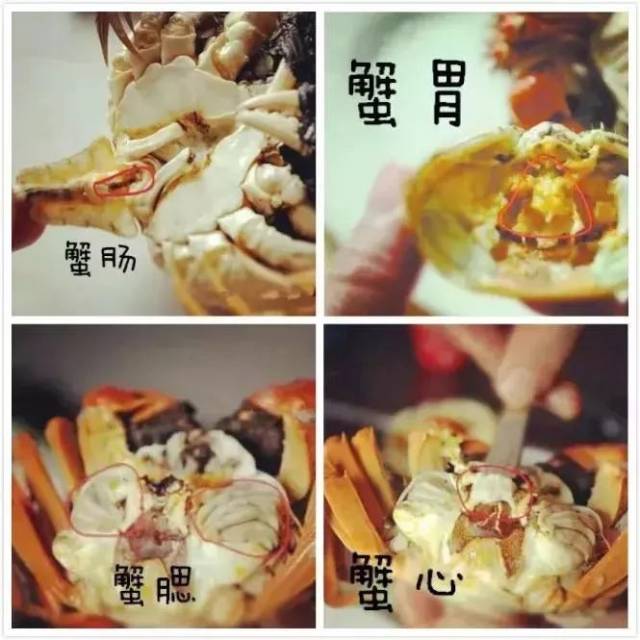 大闸蟹虽好,但不是谁都合适吃,特别是这些部位不能吃!