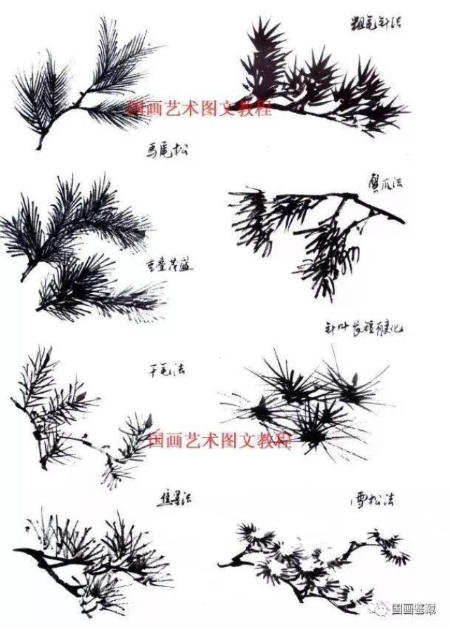 松树的基础画画法