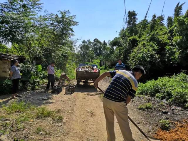 葵亭村清理路边垃圾,杂草,淤泥