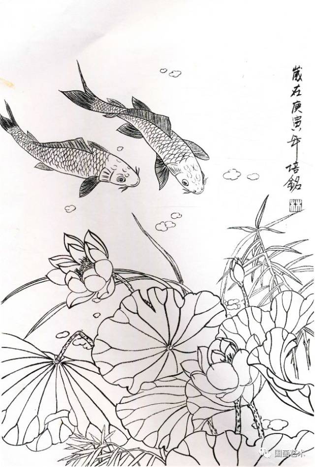 图文教程工笔锦鲤画法与白描画稿