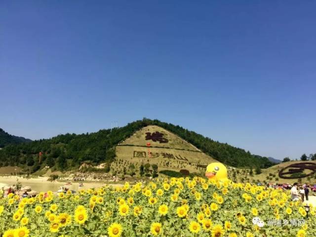 大埔最大型景区--瑞山生态旅游度假村今日开园