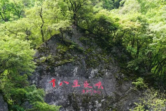 十一七天乐游在竹溪