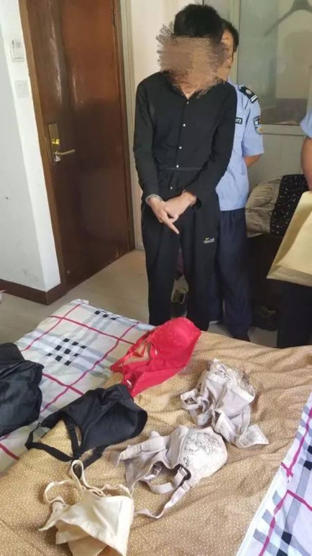 市区几个小区接连丢失女性内衣,原来一男子因老婆不在