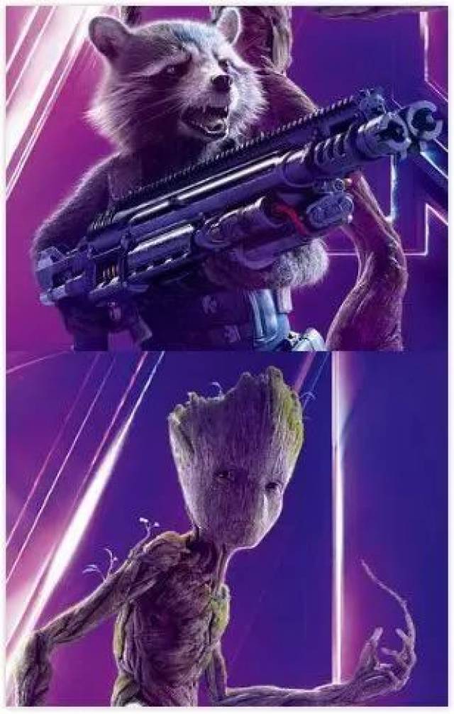 火箭浣熊(rocket raccoon)&格鲁特(groot)