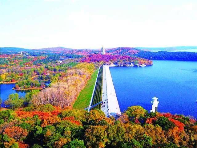 "十一"旅游无需远走 长春市民也可游山庄 看花海 住民宿_净月潭