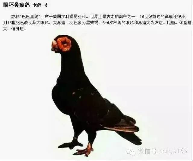 ƷͼĲï()
