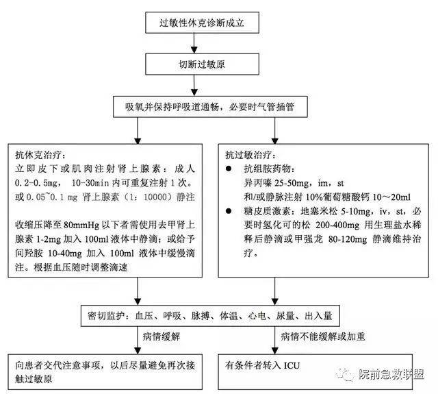 【急救】过敏性休克的紧急处置