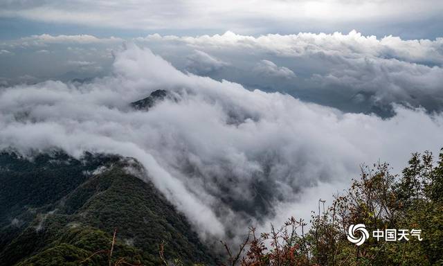 重庆南川金佛山云海如梦如幻 美不胜收