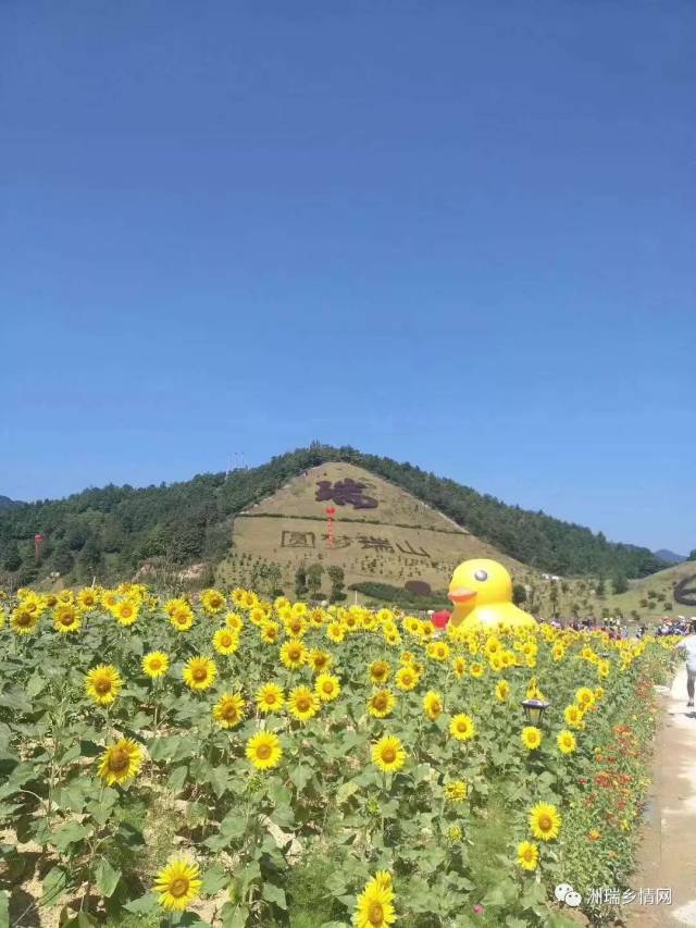 大埔最大型景区--瑞山生态旅游度假村今日开园