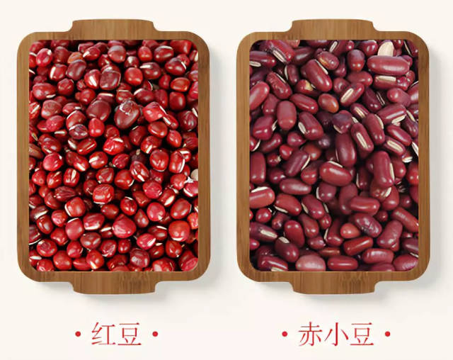 红豆和赤小豆本质上有很大的差别!