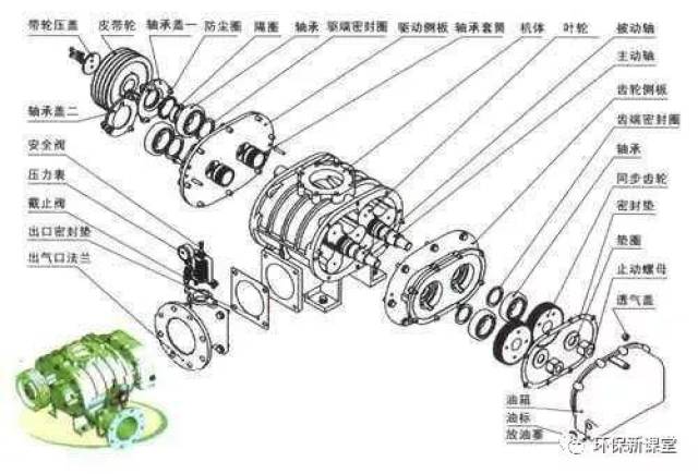 罗茨风机结构及工作原理的解剖图!