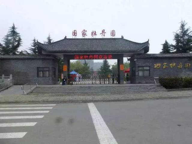 国家牡丹园
