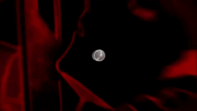 296_167gif 动态图 动图