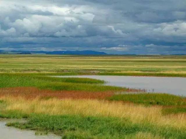 一首很美的小提琴曲《我爱你中国》听醉了!