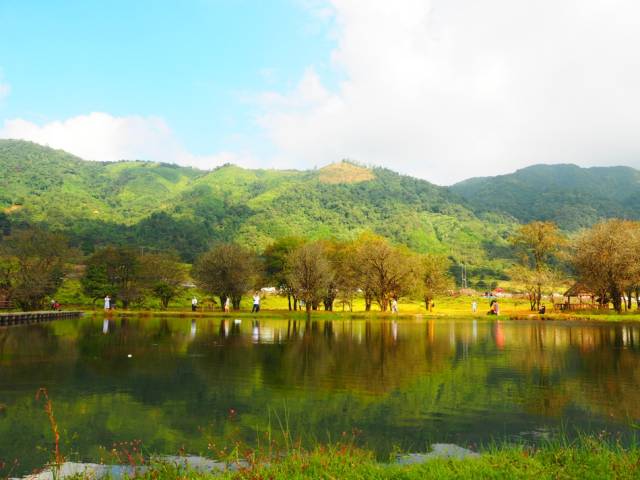 遇见美丽的黄草坝 走进盈江诗蜜娃底-旅游频道-手机