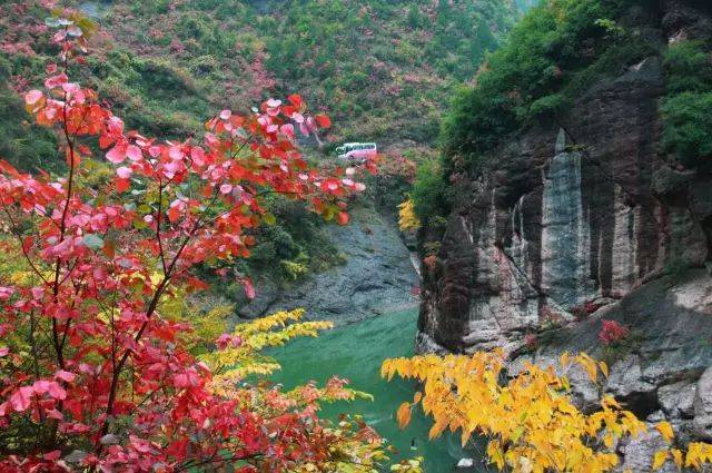 【浪漫金秋·醉凤县】凤县灵官峡第十届红叶旅游观赏节隆重举行