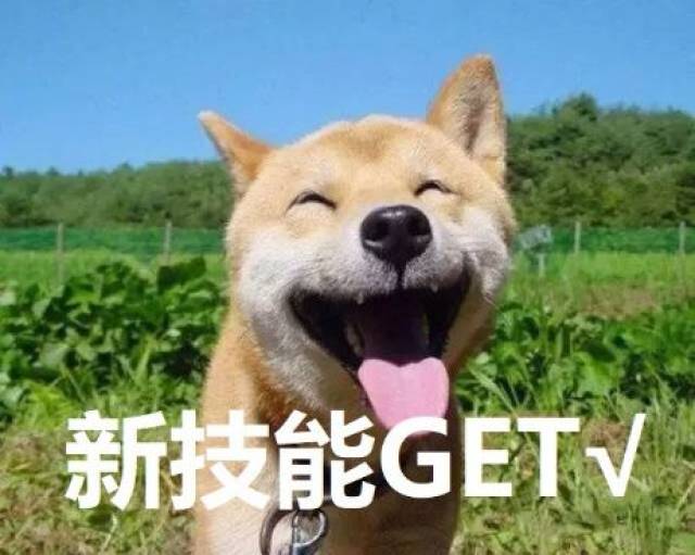 大门不出二门不迈,三步教你交电费!