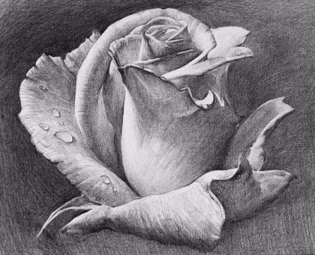 ѻʸ,α.