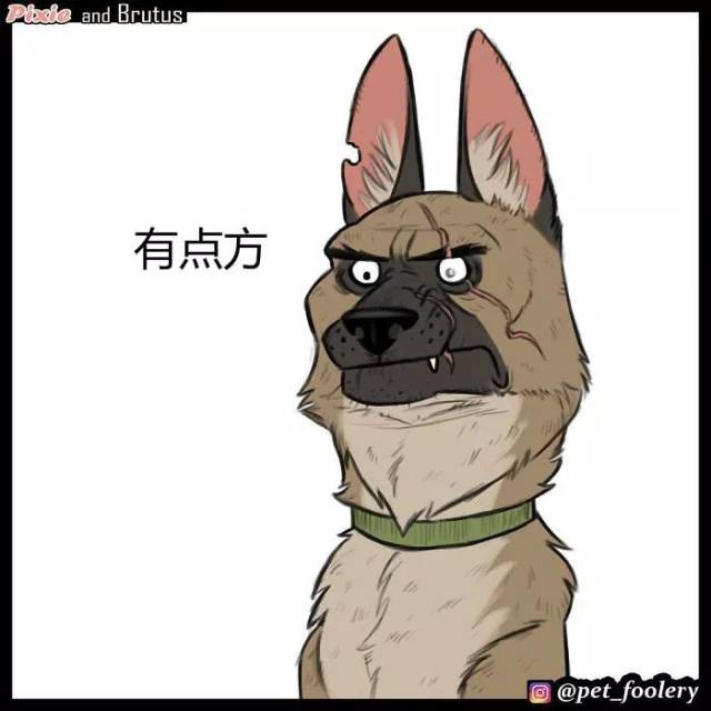 历经沧桑的彪悍警犬遇上一只软萌小喵后.网友们被这漫画一下暖到了