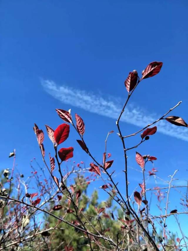 【白塔沙龙】孙蕊萍│初见天峻山