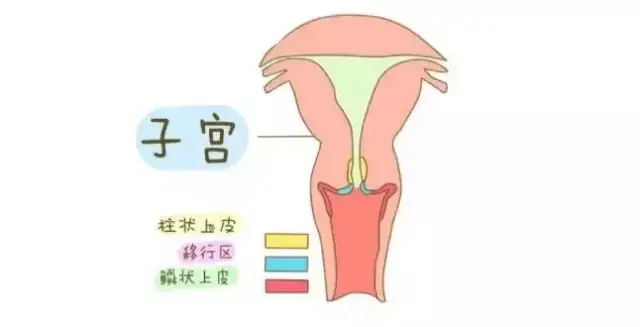 4.白色念珠菌感染