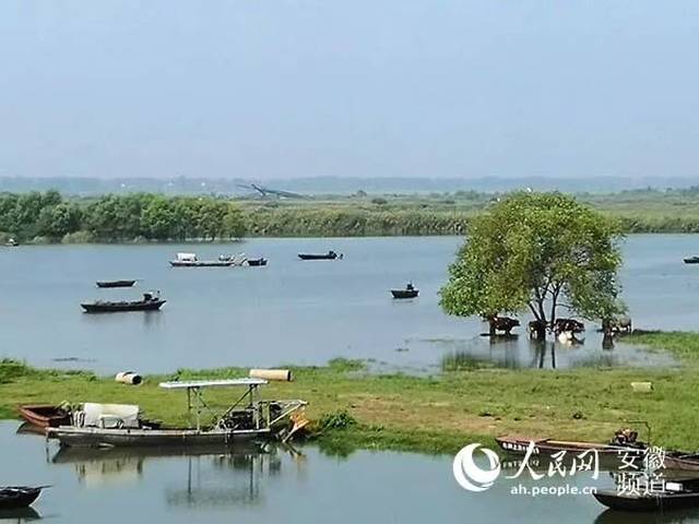 阜阳乡村旅游十家景区推介!临泉有两家,国庆假期去转转吧