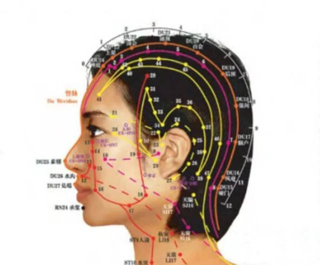 其中,头部还有被胆经包裹起来的,绕耳一周的三焦经,脚上注意脚外侧