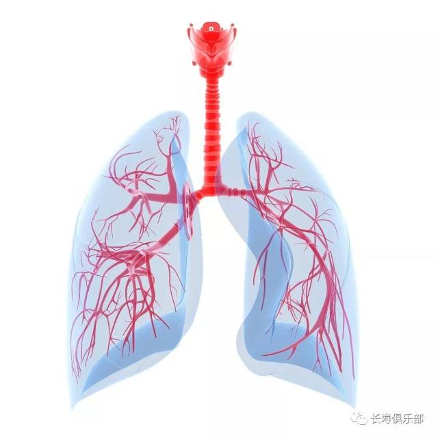 它像塞子一样堵塞了身体各部位血管的通道,导致相关脏器没有血液供应