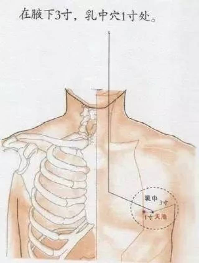 女人的乳房上有一个宝穴,它是女性的抗癌穴,长寿穴,快乐穴,要灸一灸!