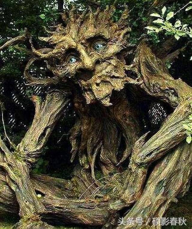印度尼西亚爪哇岛上的吃人植物和有毒的树 碰到非死必伤