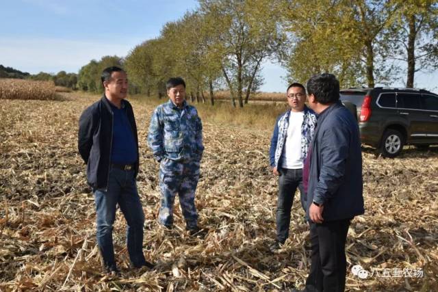 八五五农场场长隋文成国庆期间到基层检查指导秋收工作