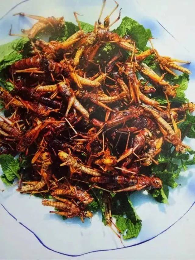 油炸蚂蚱 新平味道:"食不惊艳舌不休",新平美食等你来挑战!