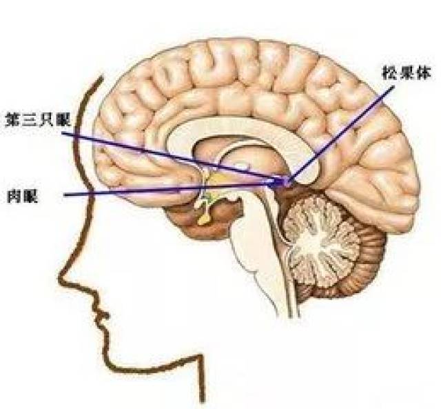 05a67837b9d441c4aadbd358c7a53cbc.jpeg